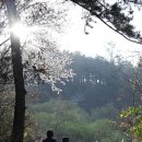 산소의원 이미지