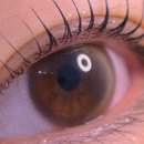 상남동254 이미지