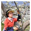 두릉농장 이미지