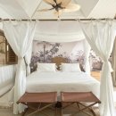 파라다이스 코브 이미지