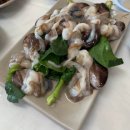 2025 홍성 남당항 새조개축제 행사 일정 근처 맛집,숙박정보 총정리