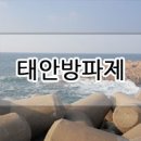 태안 방파제 낚시 테트라포드 구멍치기 쓰레기천국 우럭매운탕