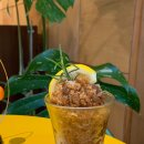 앤트카페 이미지