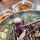 성산일출봉손칼국수 이미지