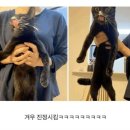 미친고양이