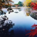 흐르는 강물을 바라 이미지