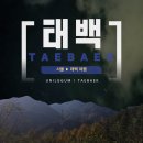 태백교육도서관 | 뚜벅이의 혼자 태백 1박 2일 버스 여행 _ 1일차 여행 일지(8)｜ 태백실비식당🍖