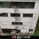 금룡반점 - 달성군 비슬로502길 2 | 금룡반점