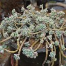 마리면사무소 이미지