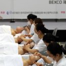 손끝차이 서울신문
