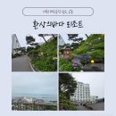환상의바다리조트호텔 | 🏖️ 보령 숙소 - 환상의바다리조트 펜션동(C동) 후기