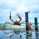 대게유래비(거일2리) 이미지