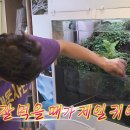 테라리움 - 유성구 유성대로 778 | 테라리움