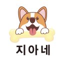 지아네멍멍애견샵 이미지