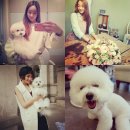 일상 속 생활 꽃꽂이 이미지