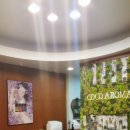 문스킨&바디 이미지