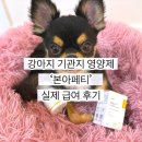 웰빙동물병원 | 강아지 역재채기 기관지염 걱정에 시작한 본아페티 기관지 영양제 후기