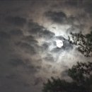 김영희목장 이미지