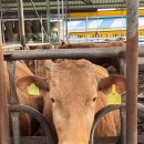 현태농장 이미지