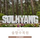강릉 가볼만한곳 솔향수목원 숲해설 생생후기