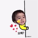 7번가피자 관저점 이미지