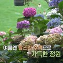 고향민국 영암 화덕피자 만들기 체험한 곳 어디?