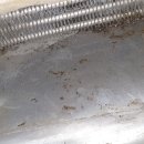 세븐일레븐 대구온누리점 이미지