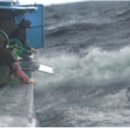 파도복어 이미지