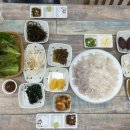 감포항 활어직판장 네이버블로그