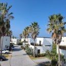 달콩 제주 이미지