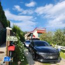 로젤 147 이미지