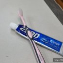 교원연수원매점