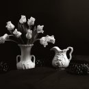 신구광학 이미지