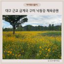 낙동강체육공원 농구장 이미지
