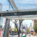 로즈힙플라워 네이버블로그