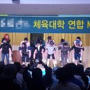리틀포레짐 이미지