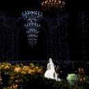 보타닉파크웨딩 이미지