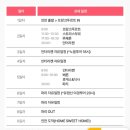 로맨틱유로 - 강남구 강남대로 464 | 서유럽 2030 세미패키지 스위스일주, 파리 로맨틱유로 내돈내산 솔직 후기