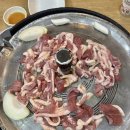 마포농장 | 합정 맛집 합정역밥집 마포오리농장 오리로스구이 추천 후기