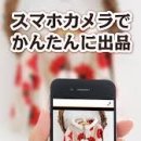아나메르 이미지