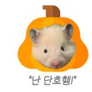 바다를 품은 보성회센타 이미지