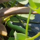 주홍농장 이미지