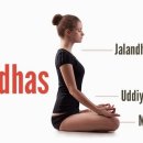 반다요가 이미지