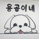 용곱이네