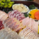 연가구 | 활숙성 모듬회 무한리필 코스를 즐길 수 있는 송파횟집 이자카야 [숙성연가 | 구 물고리자리]