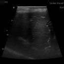 진리동물병원 이미지