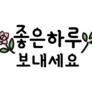 풀담 이미지