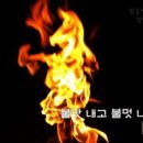 (주)렉스온 - 20787 | 몽산포 오션캠핑장에서 조용히 1박하고 왔네요~ ㅎ