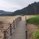 칠포2리 이미지