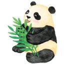 오감 중국어 네이버블로그